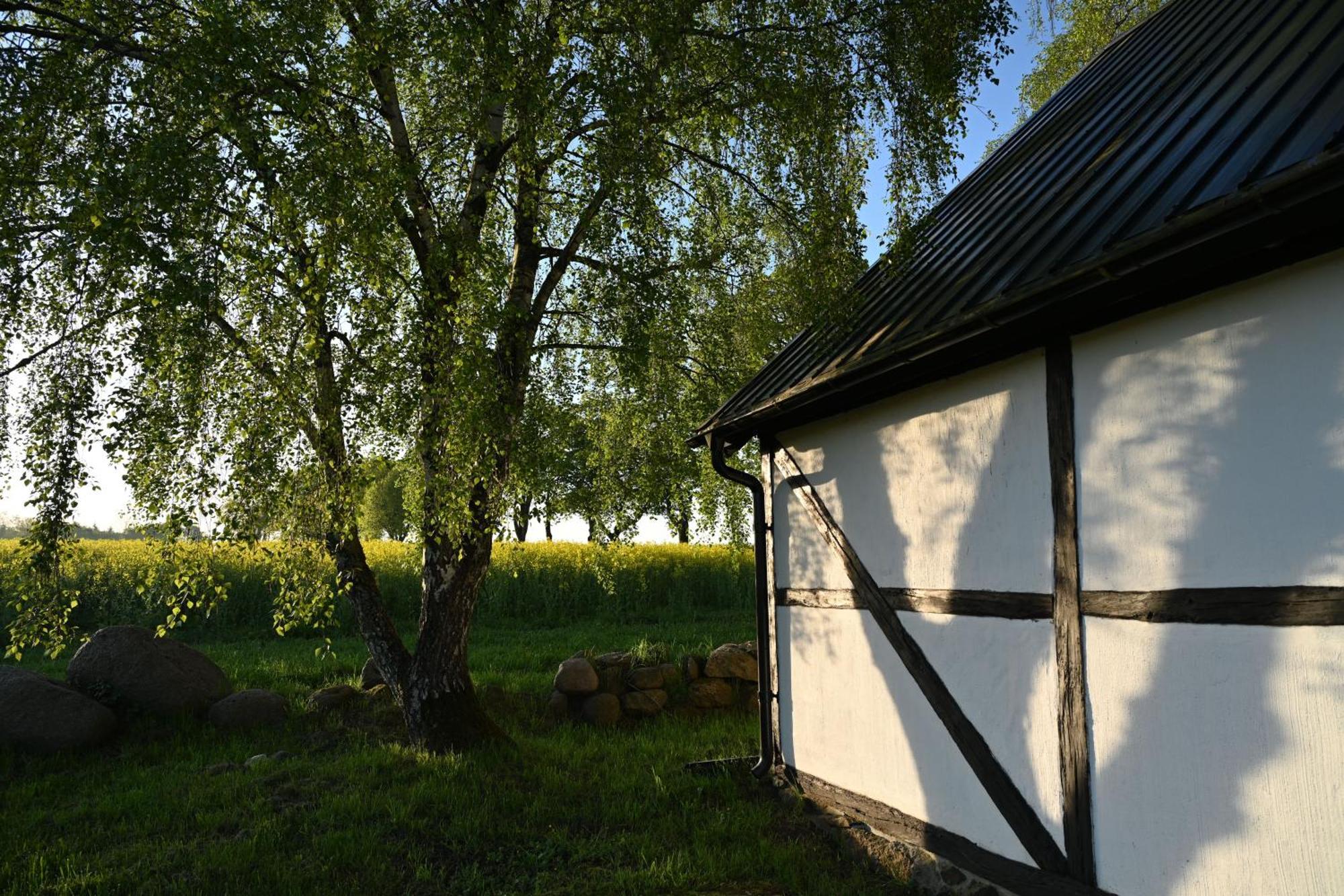 Allé På österlen * Kivik